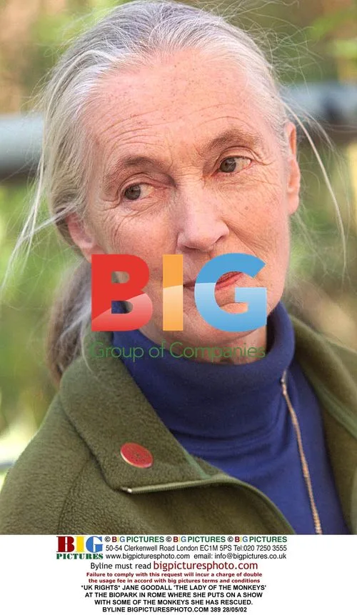 Jane Goodall at Biopark in Rome