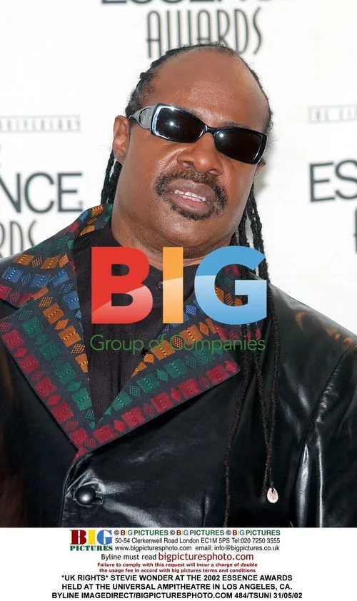 Stevie Wonder at 2002 Essence Awards