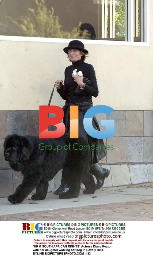 Diane Keaton walks dog with daughter in Beverly Hills