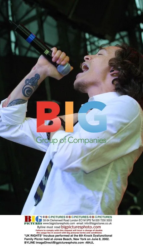 Incubus performing at Krock Dysfunctional Family Picnic