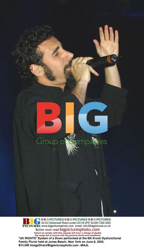 System of a Down at Krock Family Picnic