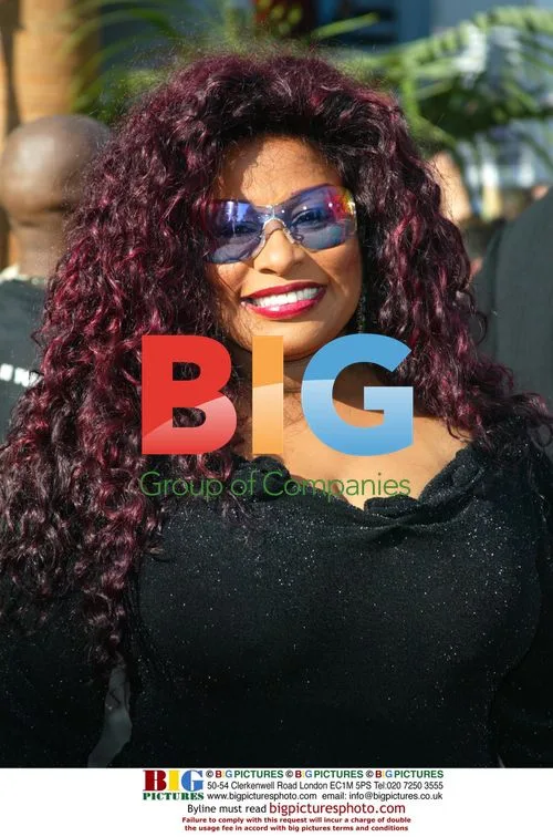 Singer Chaka Khan at BET Awards