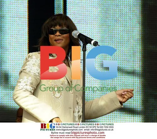 Gabrielle performs at 'Picnic in the Park' concert