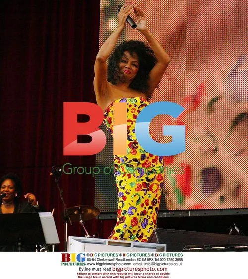Diana Ross Performs at Safeway Picnic in the Park