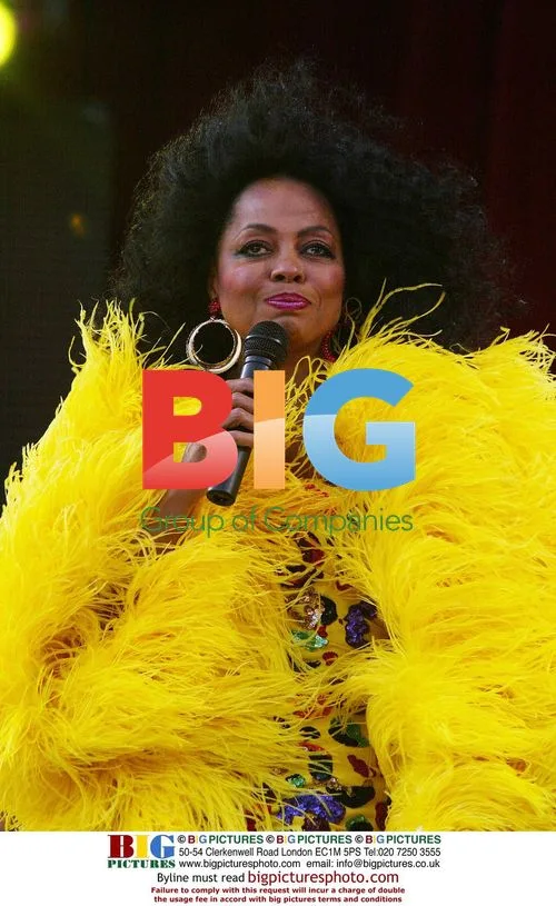 Diana Ross performs at Princes Trust concert