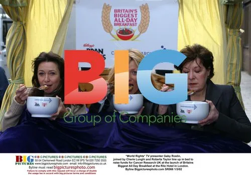 Celebrities line up in bed for cancer fundraiser