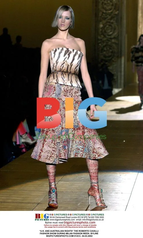 Roberto Cavalli Fashion Show in Milan 2002