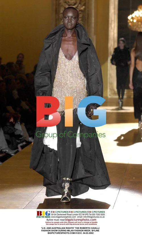 Roberto Cavalli Fashion Show at Milan Fashion Week