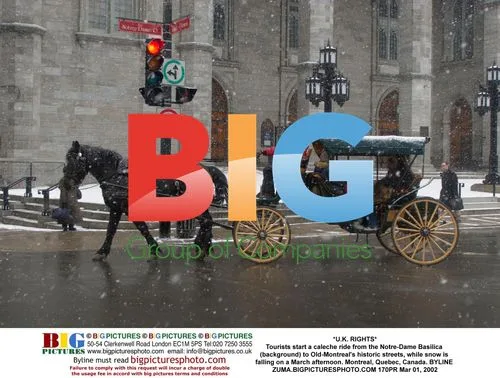 Tourists on caleche ride in snowy Montreal