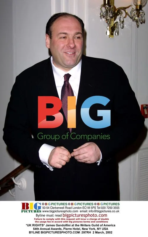 James Gandolfini at Writers Guild Awards 2002