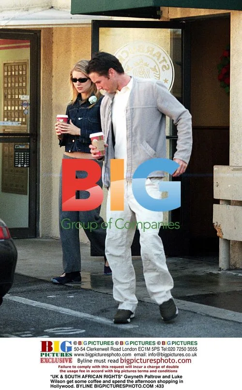 Gwyneth Paltrow and Luke Wilson shopping in Hollywood