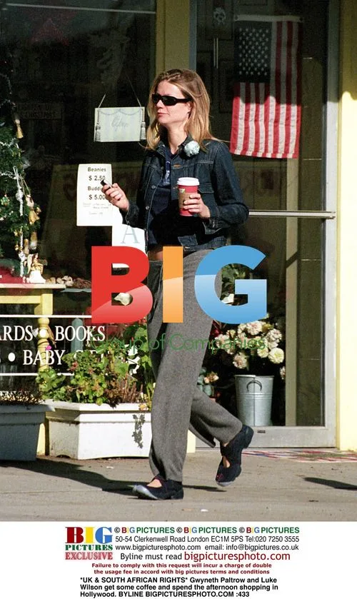 Gwyneth Paltrow and Luke Wilson shop in Hollywood