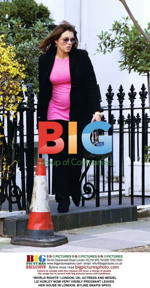 Liz Hurley Visibly Pregnant Leaves London Home