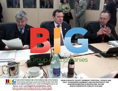 Schroeder and delegation at European meeting