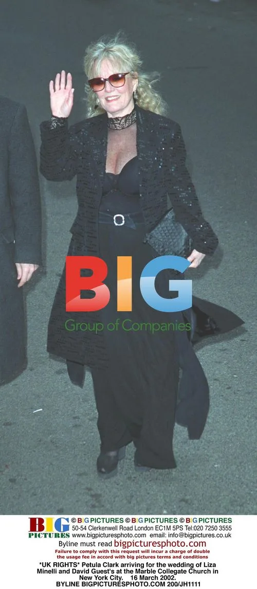 Petula Clark at Liza Minnelli's Wedding