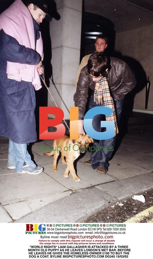 Liam Gallagher attacked by puppy