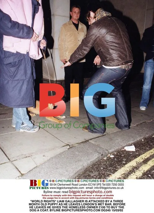 Liam Gallagher attacked by puppy