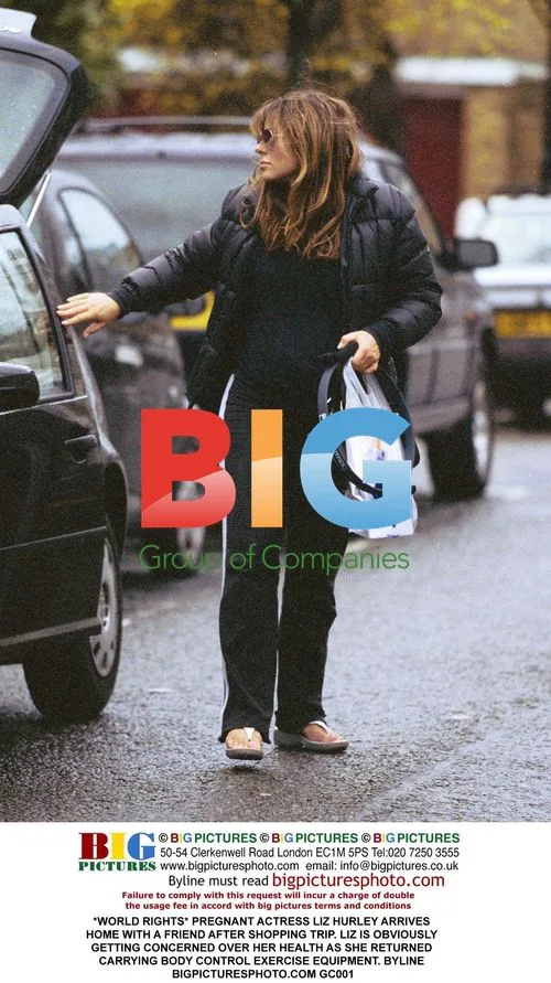 Pregnant Liz Hurley Arrives Home After Shopping