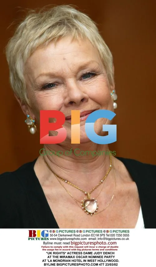 Dame Judy Dench at Miramax Oscar Party