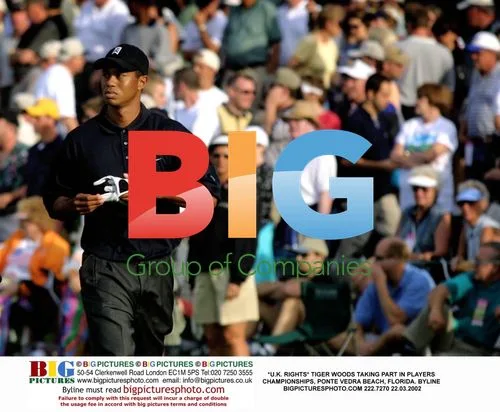 Tiger Woods at Players Championship