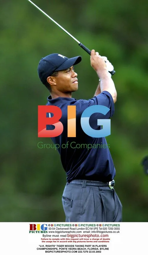 Tiger Woods at Players Championship