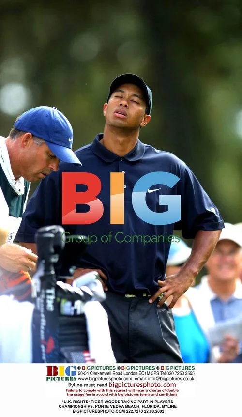 Tiger Woods at Players Championships, Florida