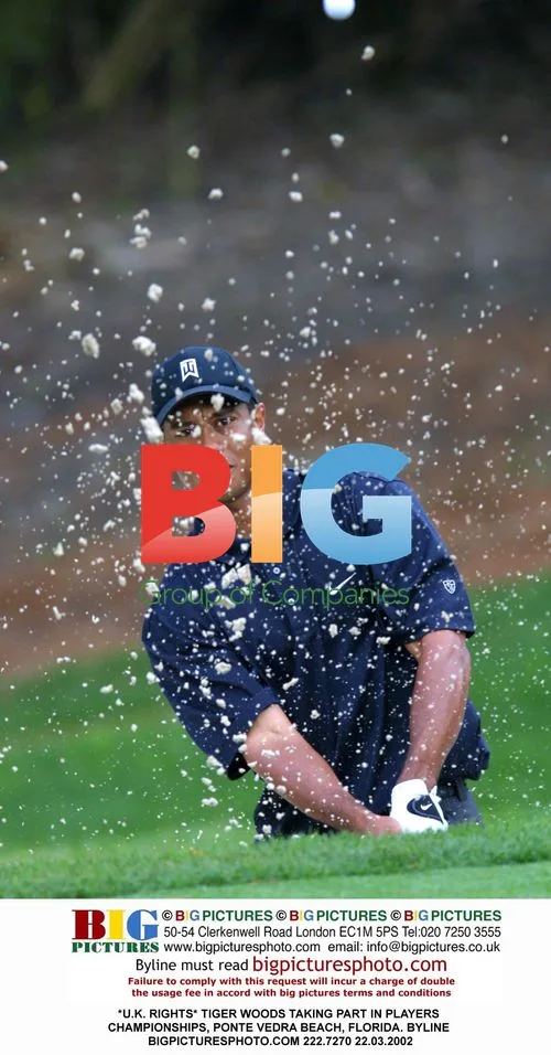 Tiger Woods at Players Championship