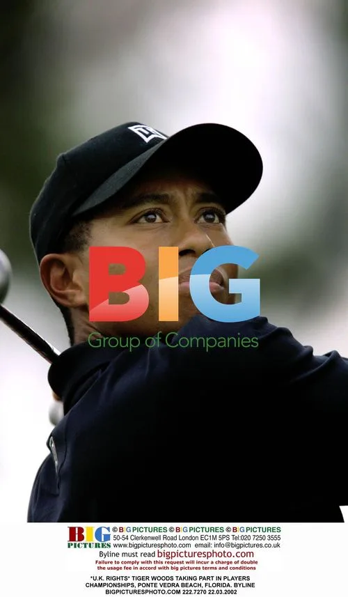 Tiger Woods at Players Championship