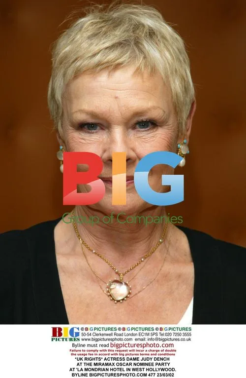 Judy Dench at Miramax Oscar Nominee Party