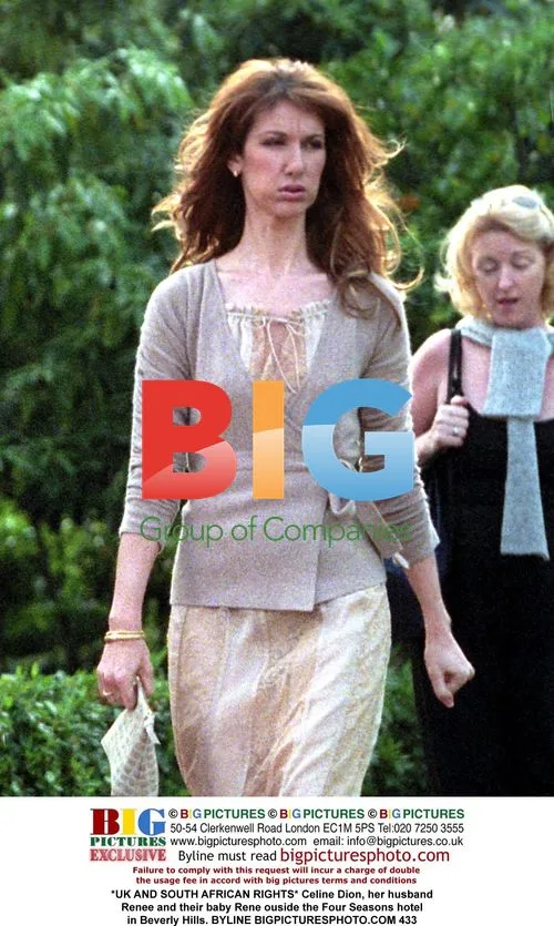 Celine Dion with husband and baby outside hotel