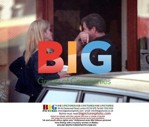 Mel Gibson Spotted Flirting in Malibu