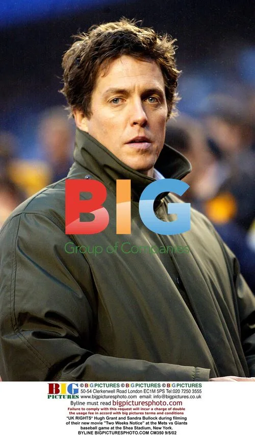 Hugh Grant and Sandra Bullock at Mets vs Giants Game