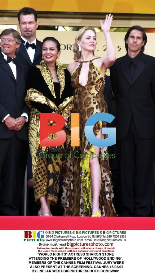 Sharon Stone at 'Hollywood Ending' Premiere