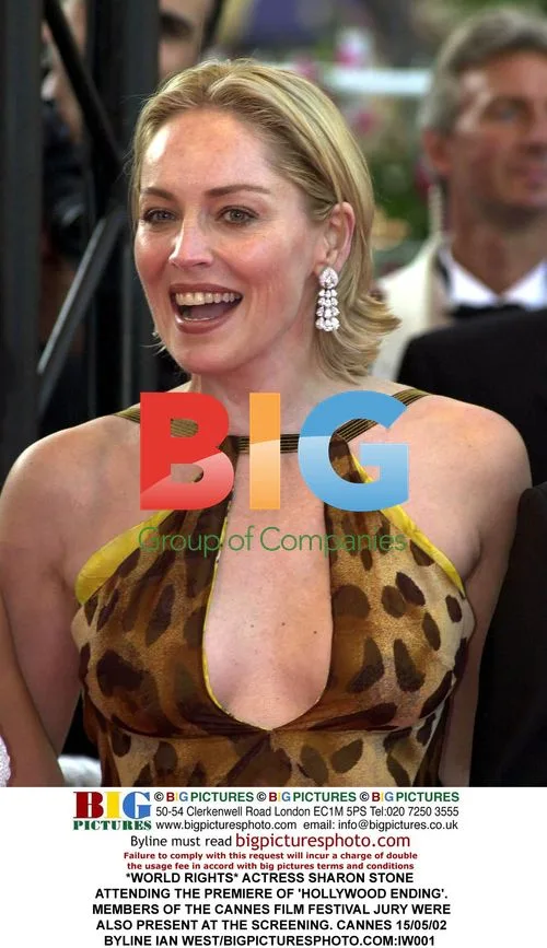 Sharon Stone at 'Hollywood Ending' Premiere