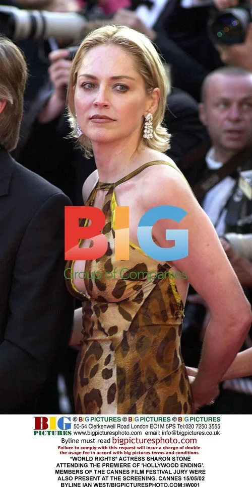 Sharon Stone at 'Hollywood Ending' Premiere