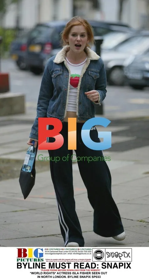 Isla Fisher Seen Out in North London