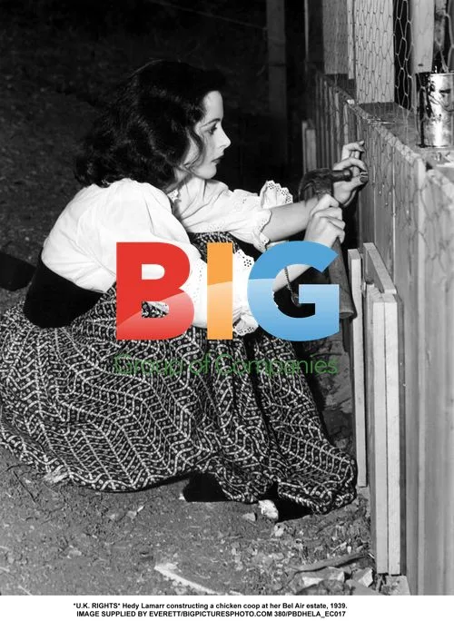 Hedy Lamarr building chicken coop in Bel Air, 1939