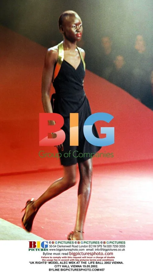 Model Alec Wek at the Life Ball 2002 Vienna