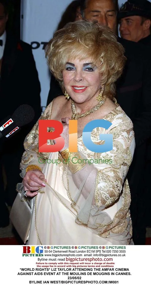 Liz Taylor at the amfAR Cinema Against AIDS Event