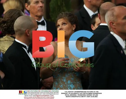 Crown Princess Victoria at Norwegian Royal Wedding Banquet