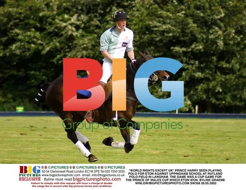 Prince Harry plays polo match for Eton