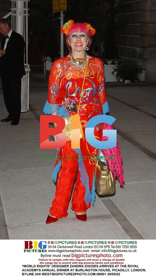 Zandra Rhodes at Royal Academy Dinner