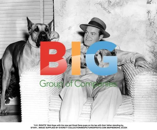Bob Hope with Great Dane Pups