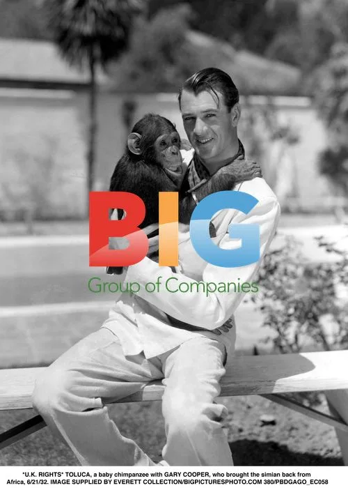 Gary Cooper and baby chimpanzee Toluca