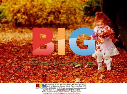 3-Year-Old Tierney McLeod Plays in Leaves