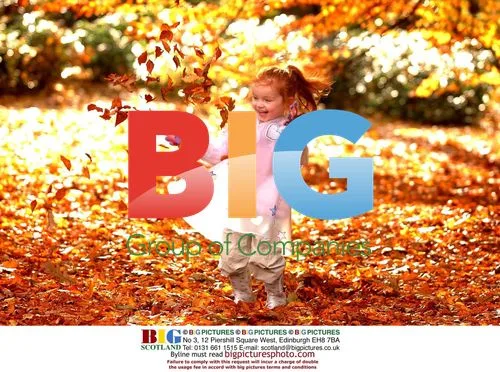 Young Girl Plays in Autumn Leaves