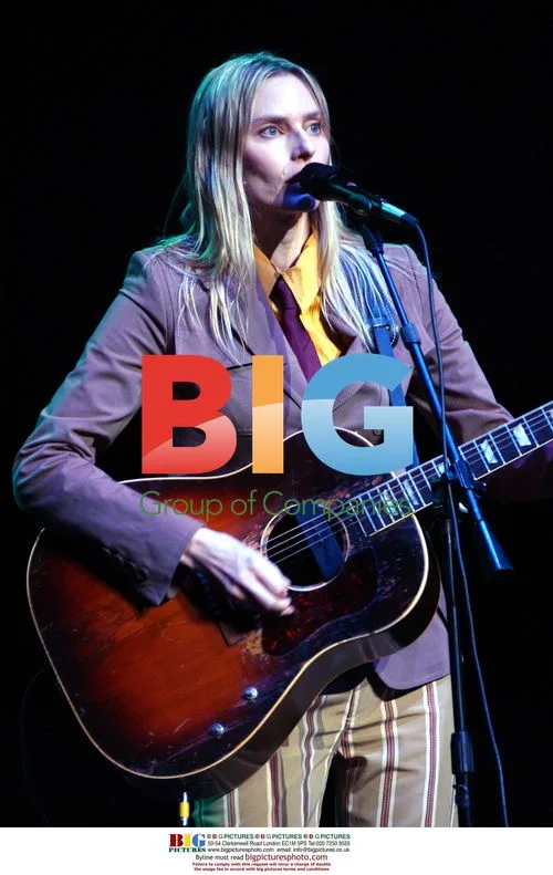 Aimee Mann at DKNY Vanity Fair Benefit Concert
