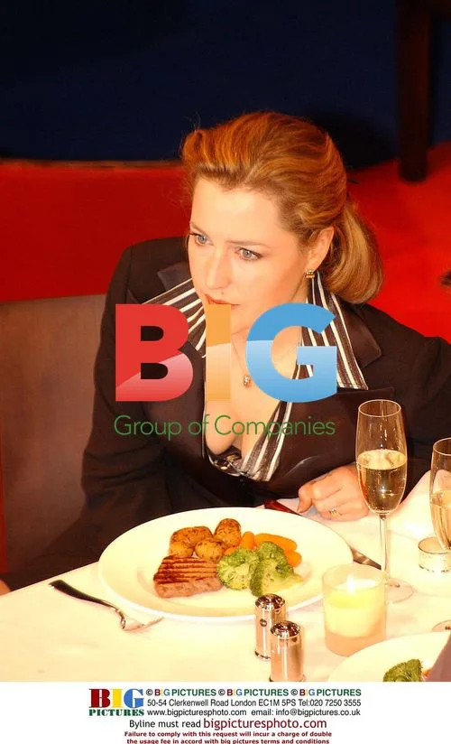 Gillian Anderson and Roger Allam at play photocall