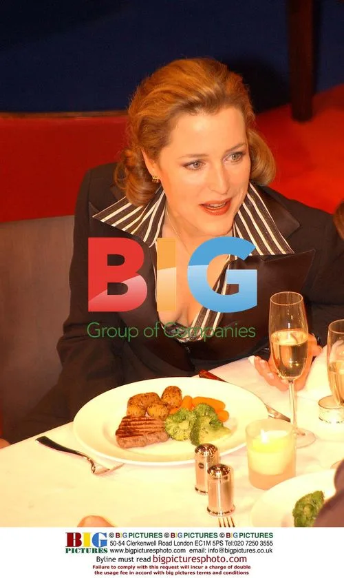 Gillian Anderson and Roger Allam at play photocall