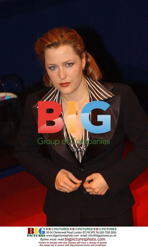 Gillian Anderson and Roger Allam at photocall